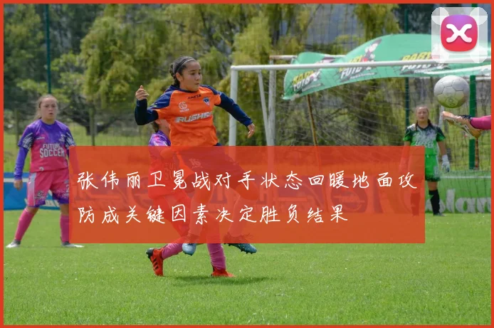张伟丽卫冕战对手状态回暖地面攻防成关键因素决定胜负结果