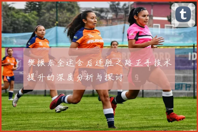 樊振东全运会后连胜之路正手技术提升的深度分析与探讨